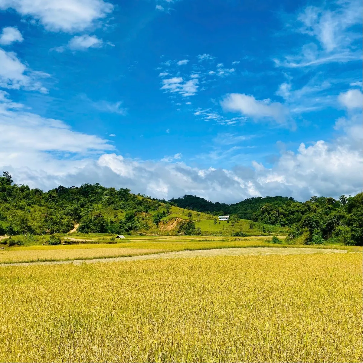 chuyen-ve