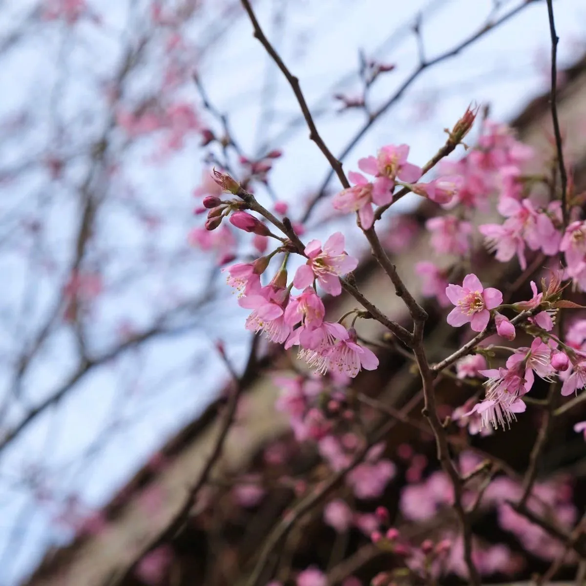 chuyen-ve