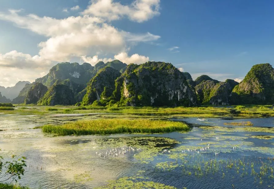 đầm Vân Long