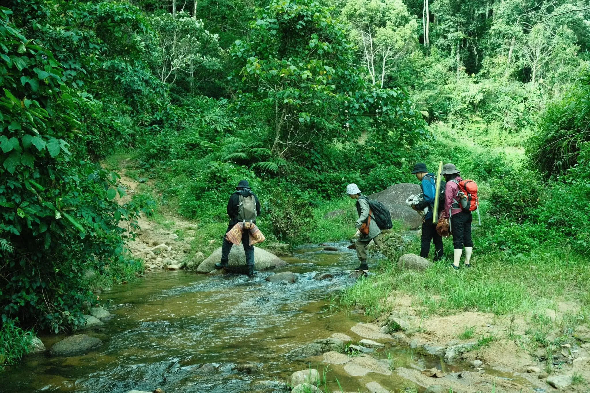 mộc little farm
