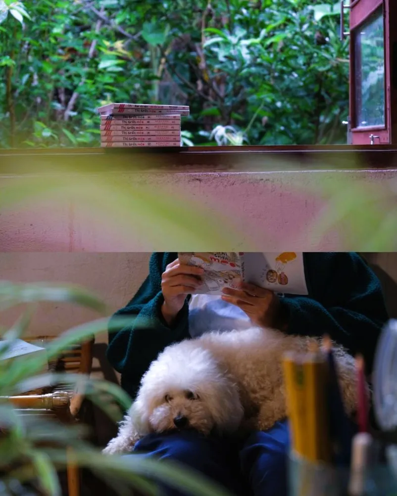 nhà mộc · măng đen