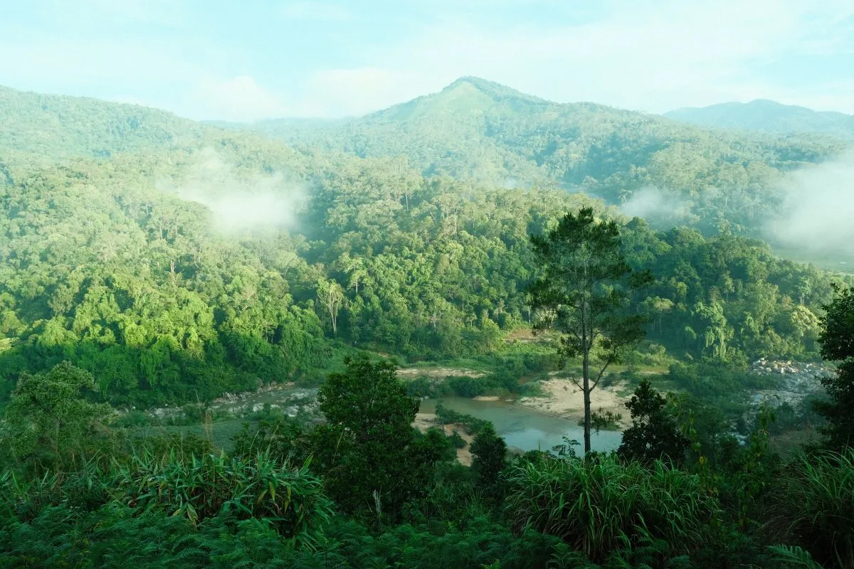 lưu bút