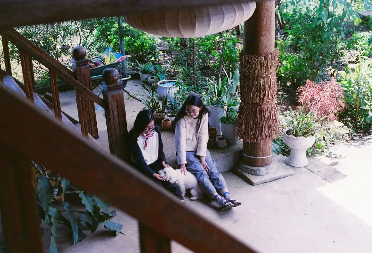 stay+talk